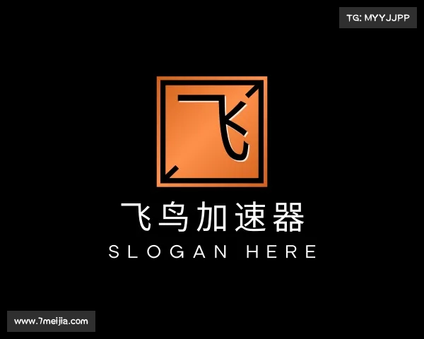 认识飞鸟加速器