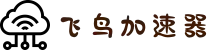 飞鸟加速器【官方网站】| 稳定通道，便捷连接全球